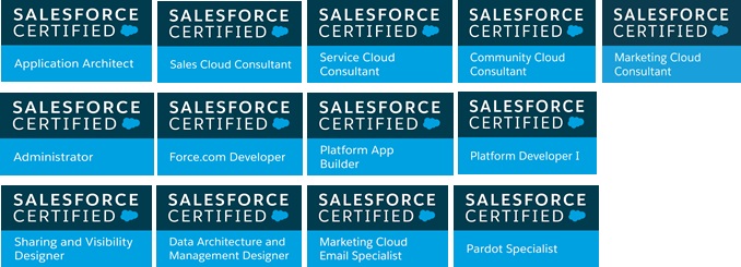 Metrodata Salesforce Certification